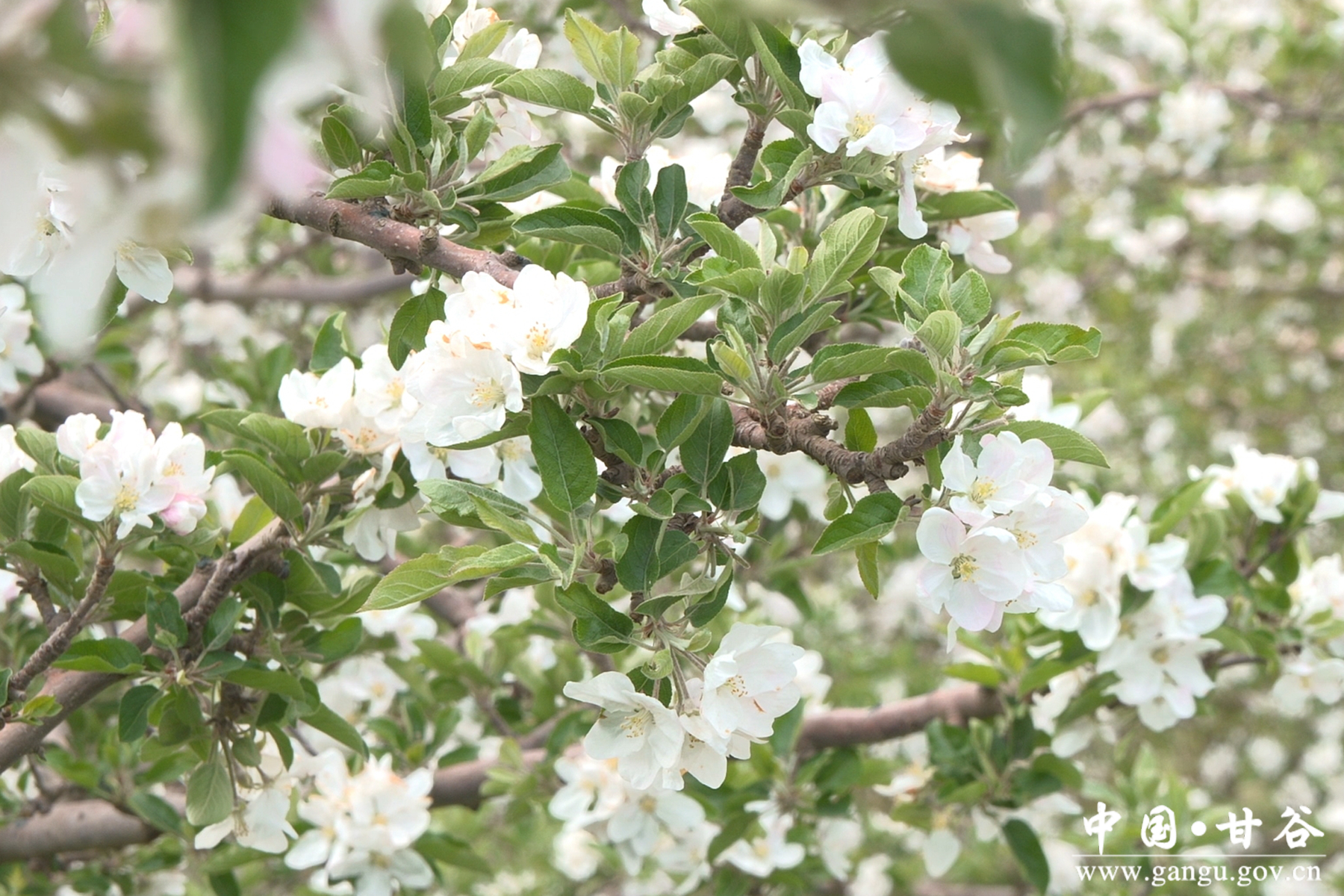 微信图片_20260424103607_24_148 微信图片_20260424103607_24_148