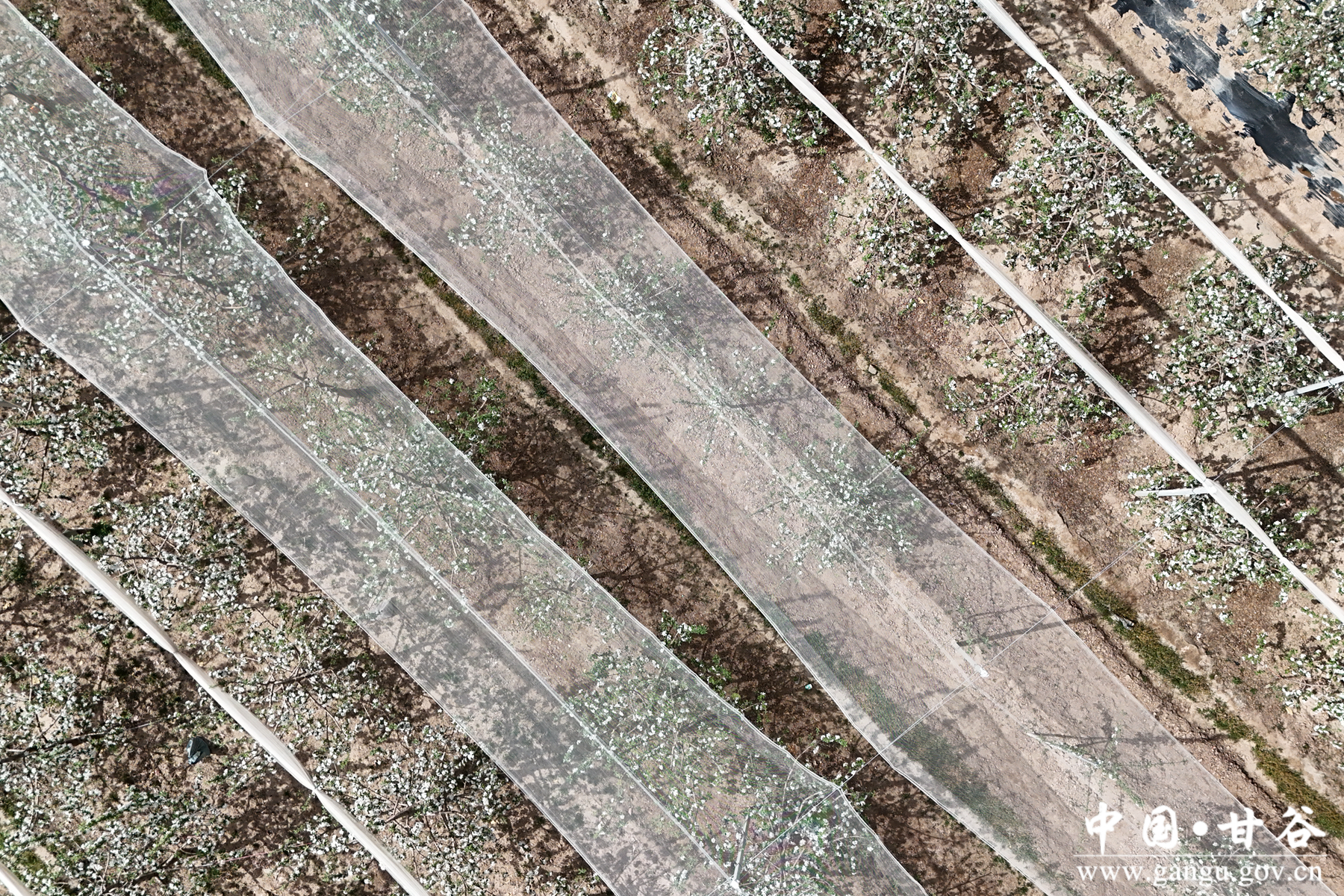 微信图片_20260424103326_18_148 微信图片_20260424103326_18_148