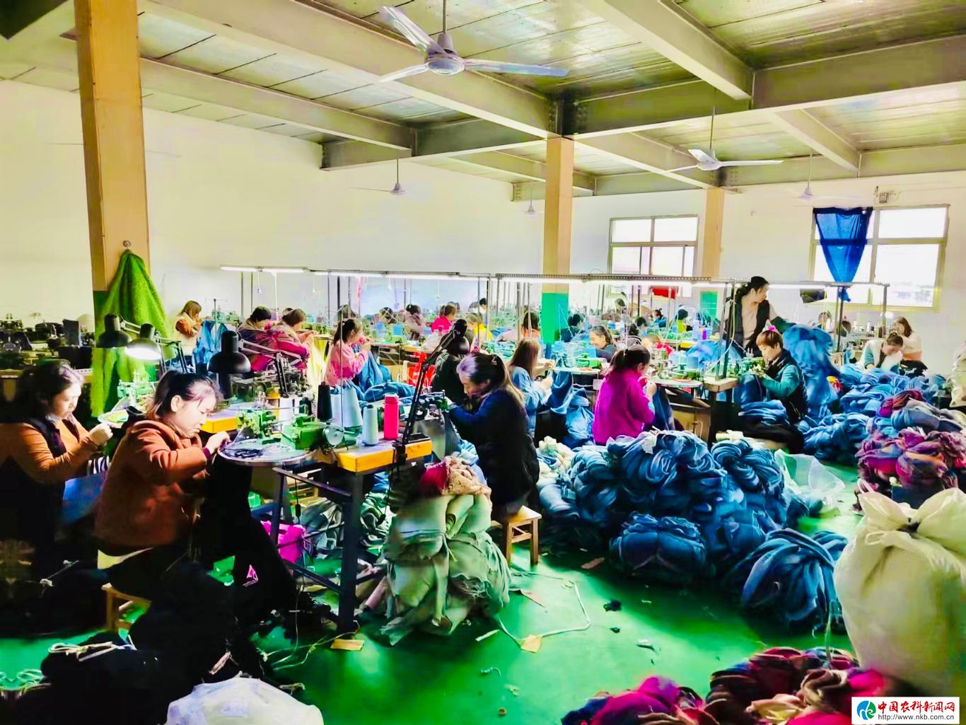 20230905214543835-27-03008.jpg_scale_.jpg 20230905214543835-27-03008.jpg_scale_.jpg