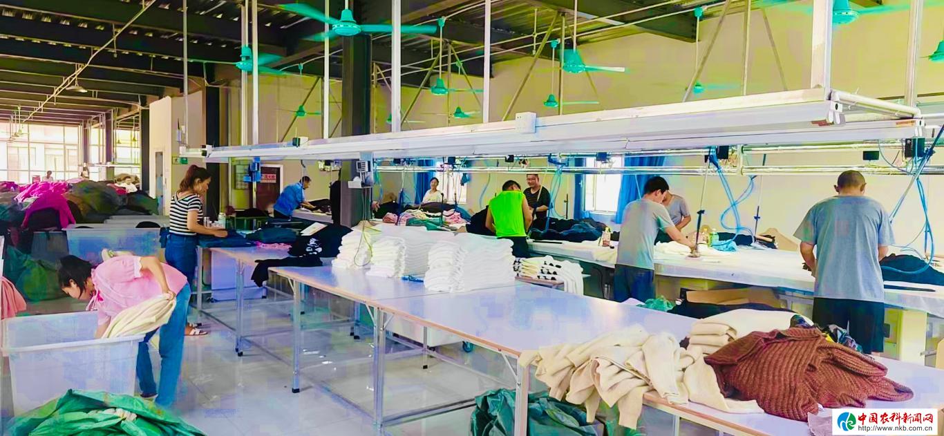 20230905214543705-20-bf356.jpg_scale_.jpg 20230905214543705-20-bf356.jpg_scale_.jpg